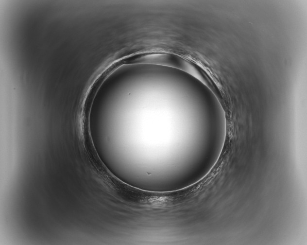 X0000096720152200802051450