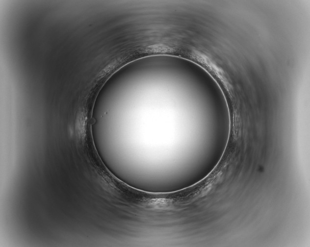 X0000096720153200802051450