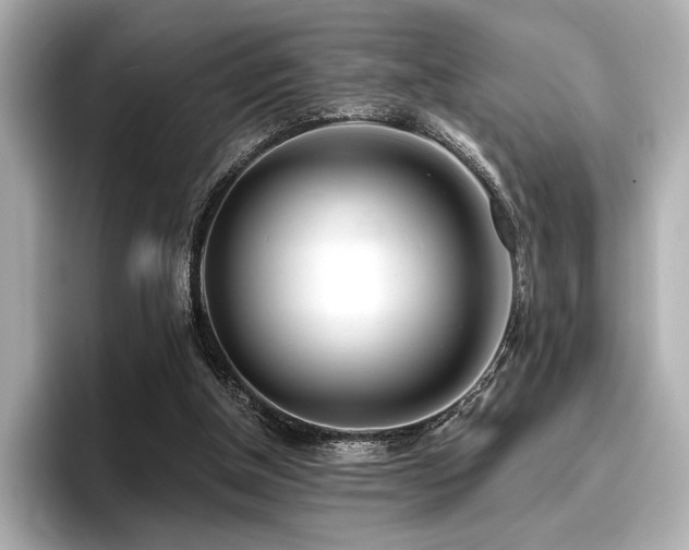 X0000096720154200802051450