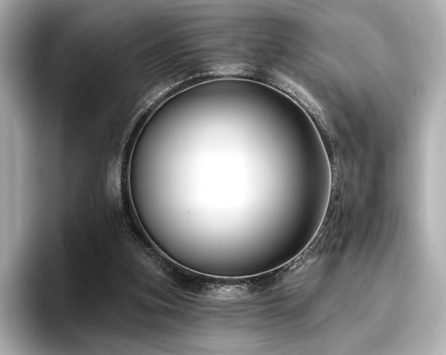 X0000096720155200802051450