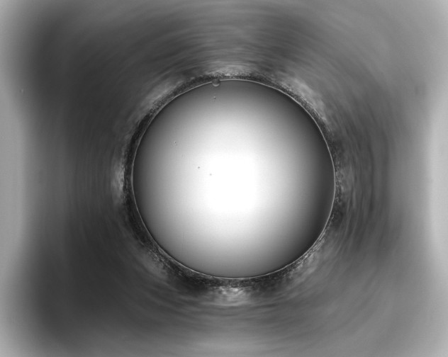 X0000096720159200802051450