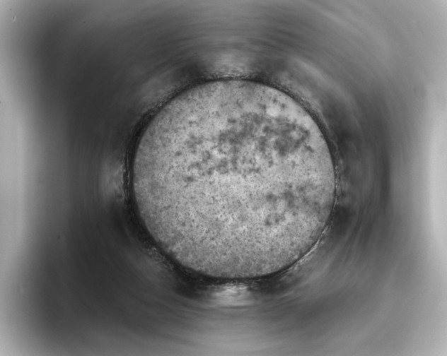 X0000096720162200802051450
