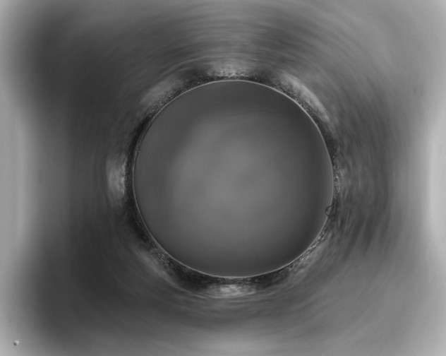 X0000096720163200802051450
