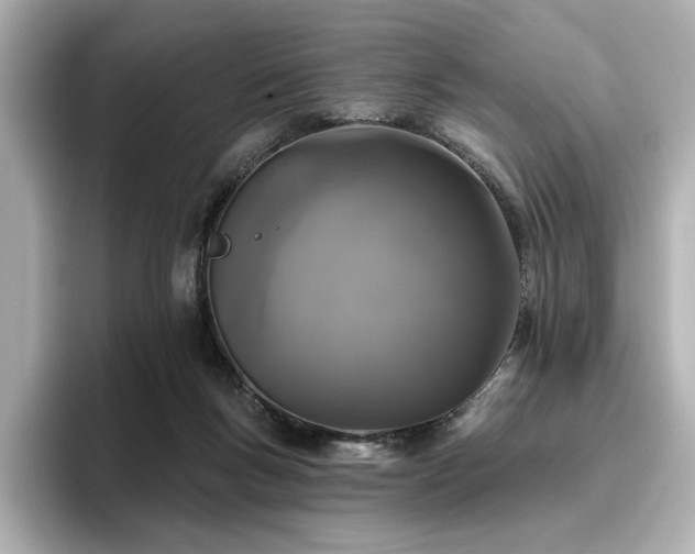 X0000096720167200802051450