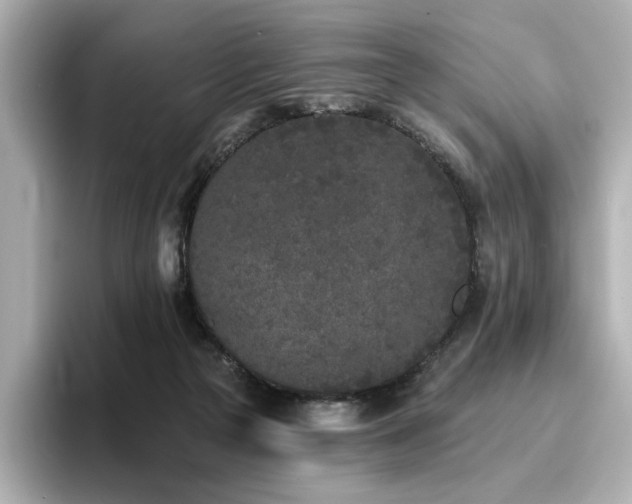 X0000096720169200802051450