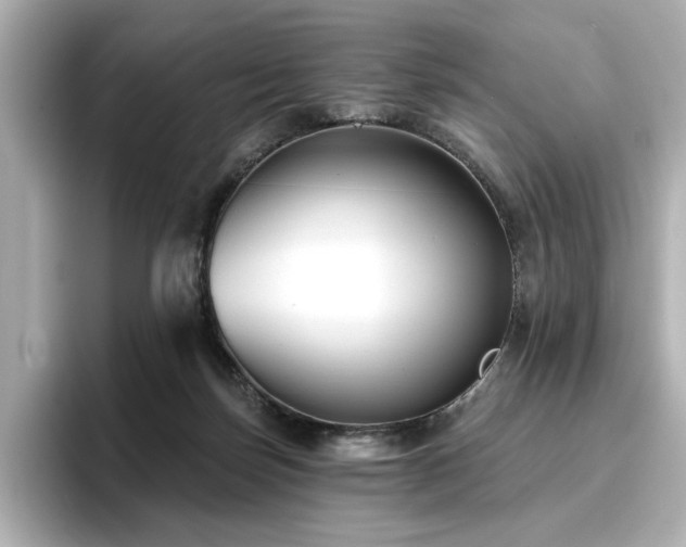 X0000096720171200802051450