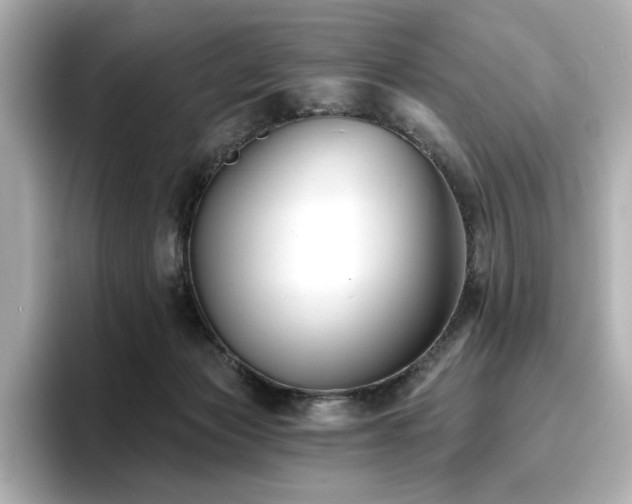 X0000096720173200802051450