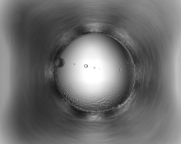 X0000096720175200802051450