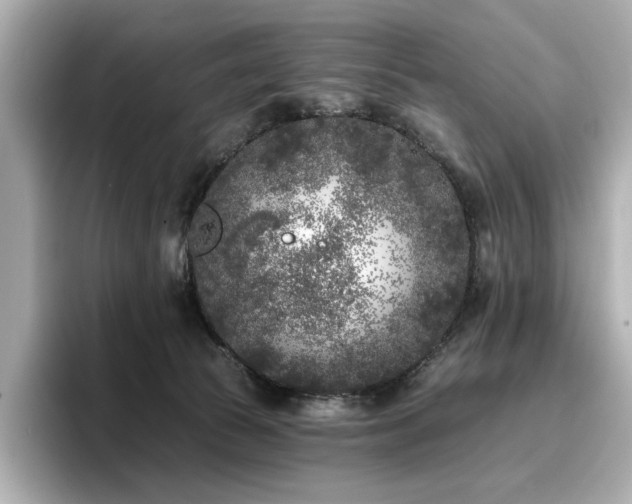 X0000096720177200802051450