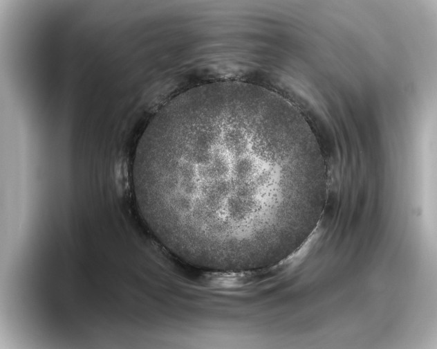 X0000096720182200802051450