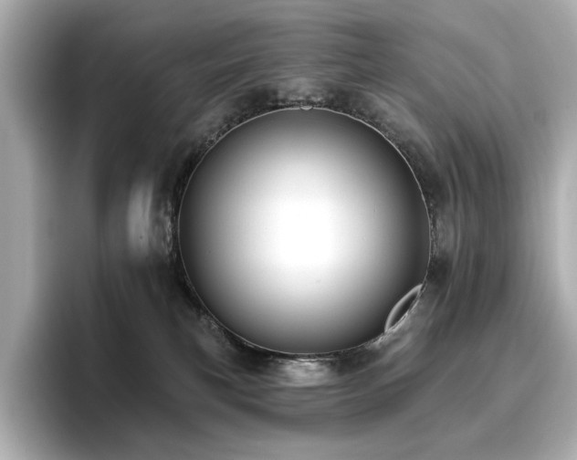 X0000096720183200802051450