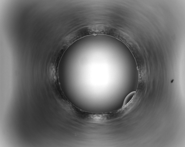 X0000096720187200802051450