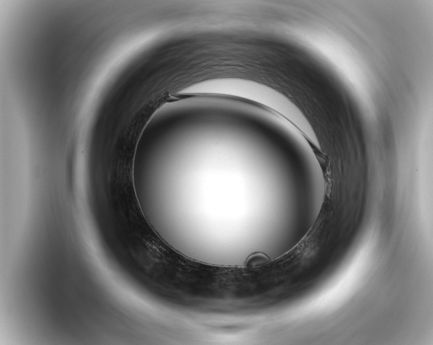 X0000096720190200802051450