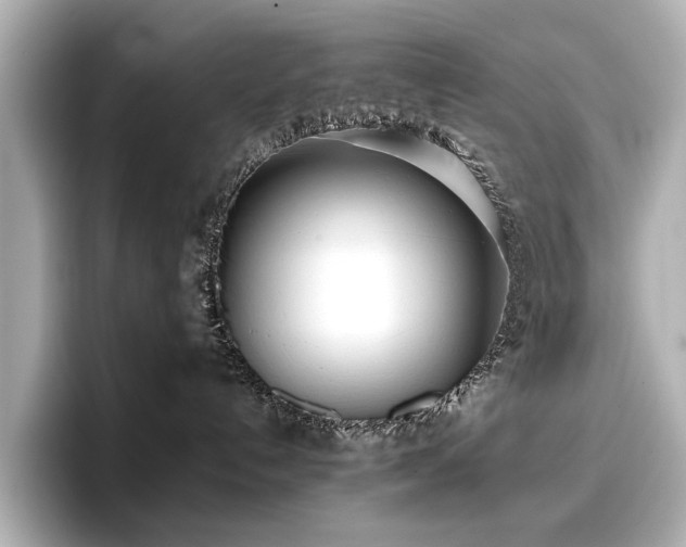 X0000096720192200802051450