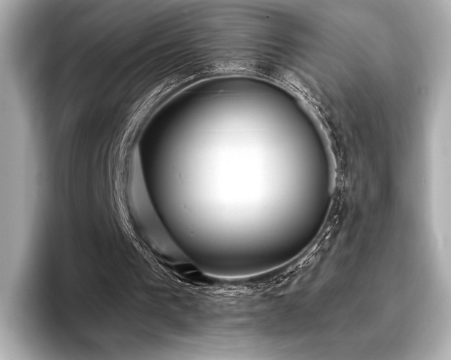 X0000096720193200802051450