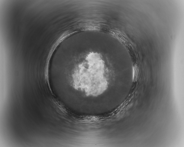 X0000096720195200802051450