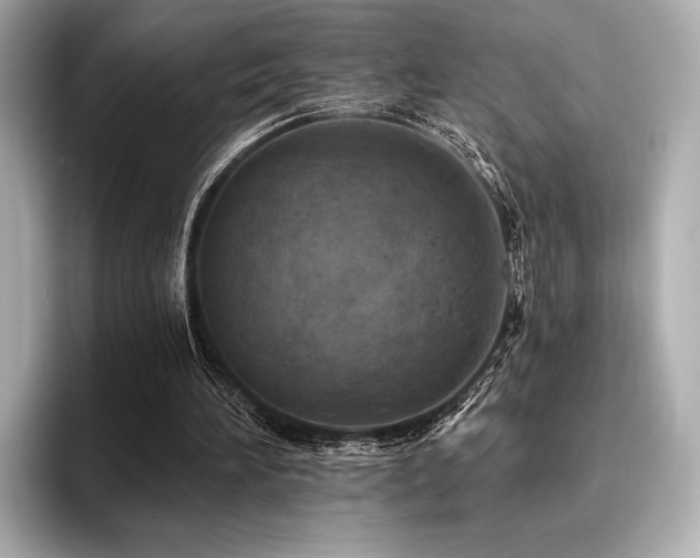 X0000096720196200802051449
