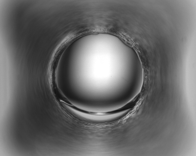 X0000096720197200802051449