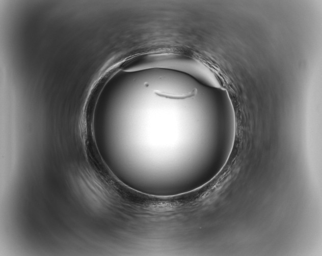 X0000096720198200802051449
