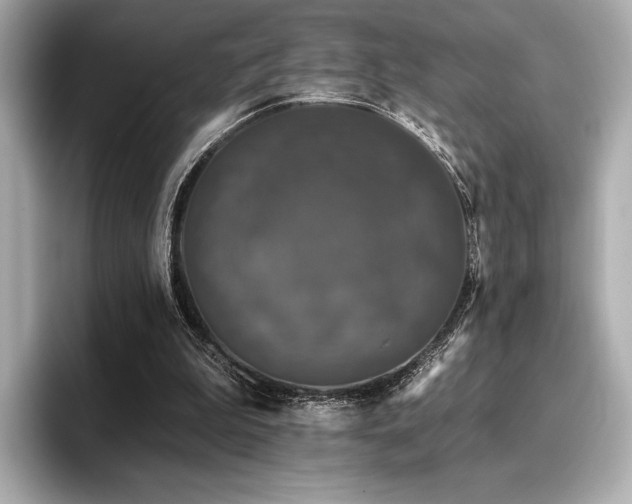 X0000096720199200802051449
