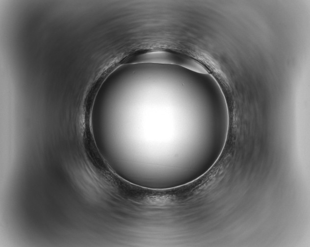 X0000096720202200802051449