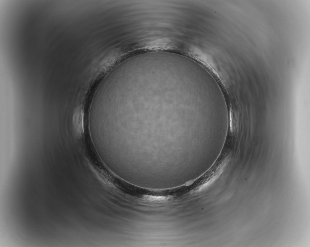 X0000096720205200802051449