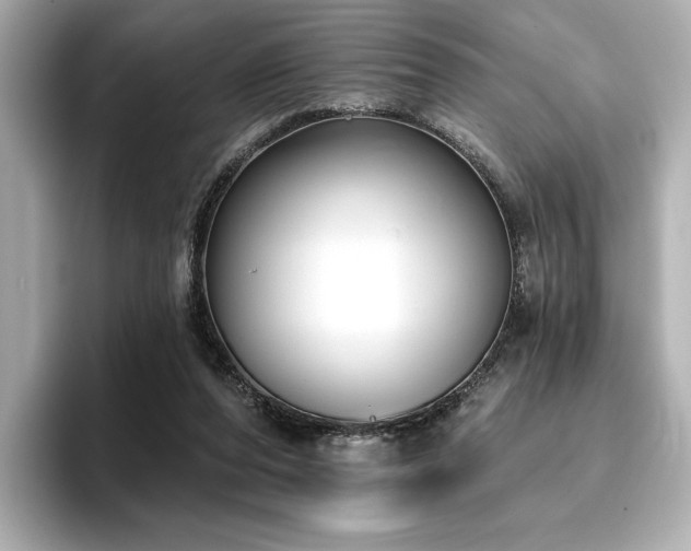 X0000096720208200802051449
