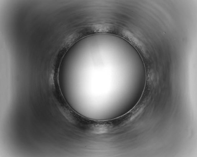 X0000096720209200802051449