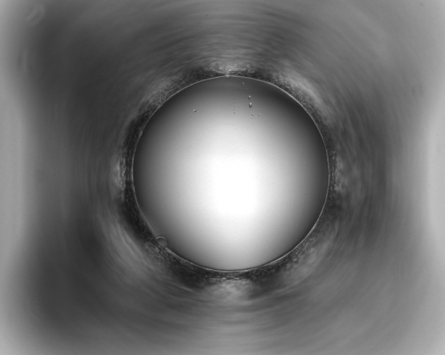 X0000096720210200802051449