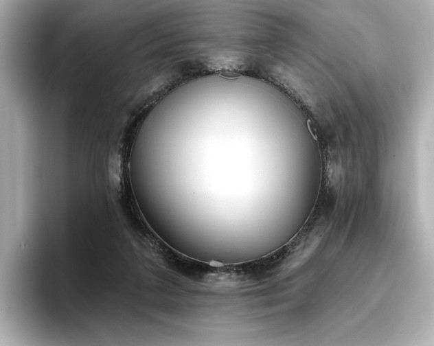 X0000096720211200802051449