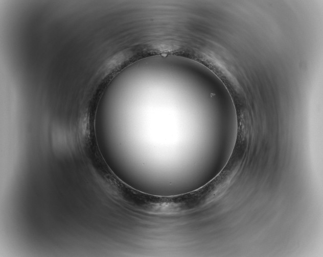 X0000096720212200802051449