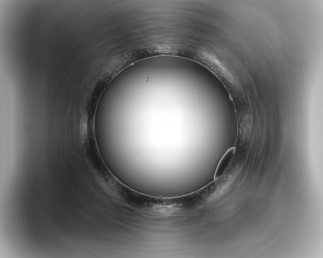 X0000096720213200802051449