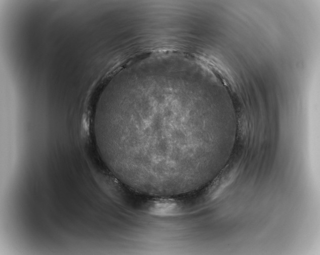 X0000096720214200802051449