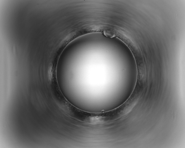 X0000096720216200802051449