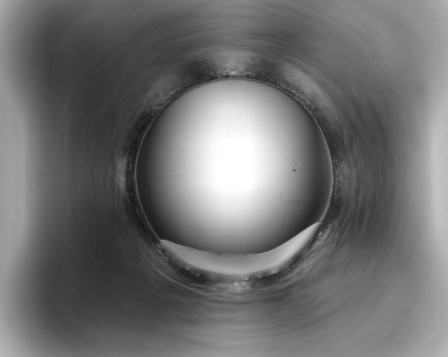 X0000096720217200802051449