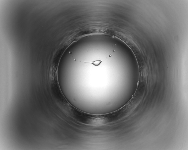 X0000096720218200802051449