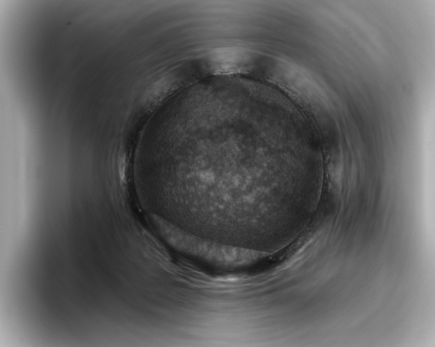X0000096720219200802051449
