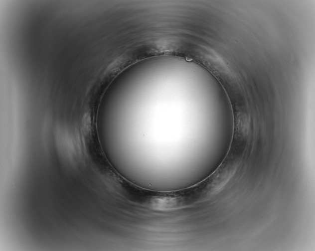 X0000096720220200802051449