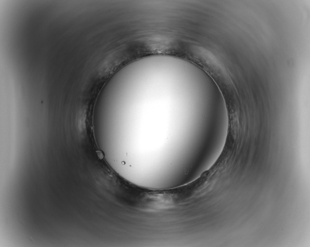 X0000096720221200802051449