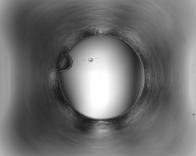 X0000096720222200802051449