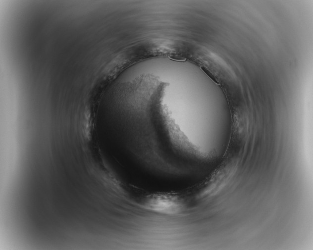 X0000096720223200802051449