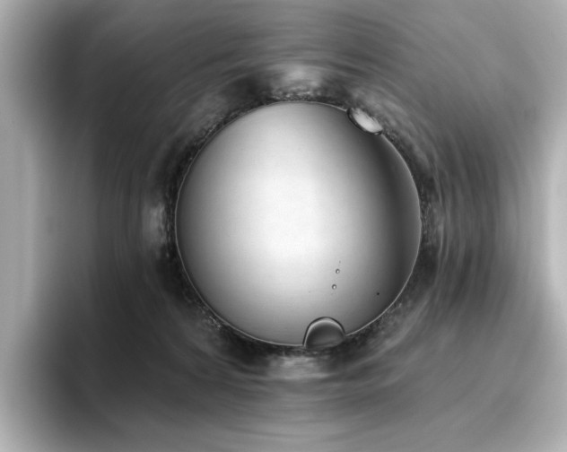 X0000096720224200802051449