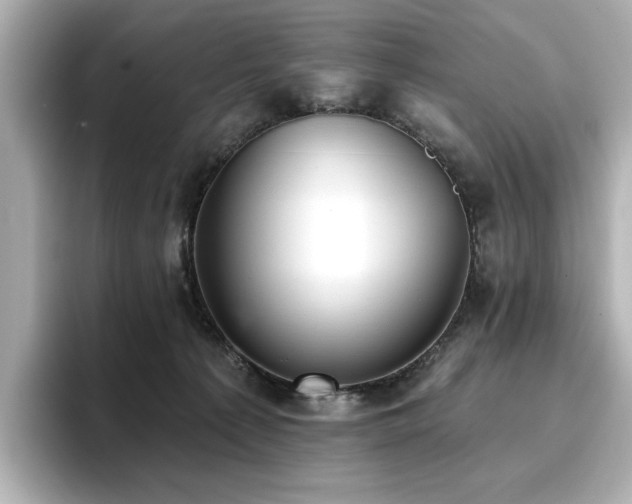 X0000096720225200802051449