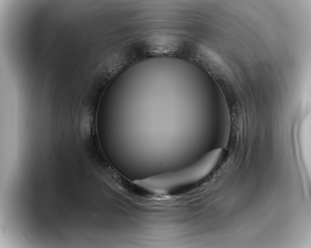 X0000096720227200802051449