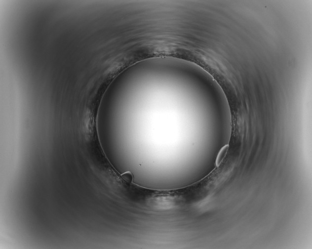 X0000096720228200802051449