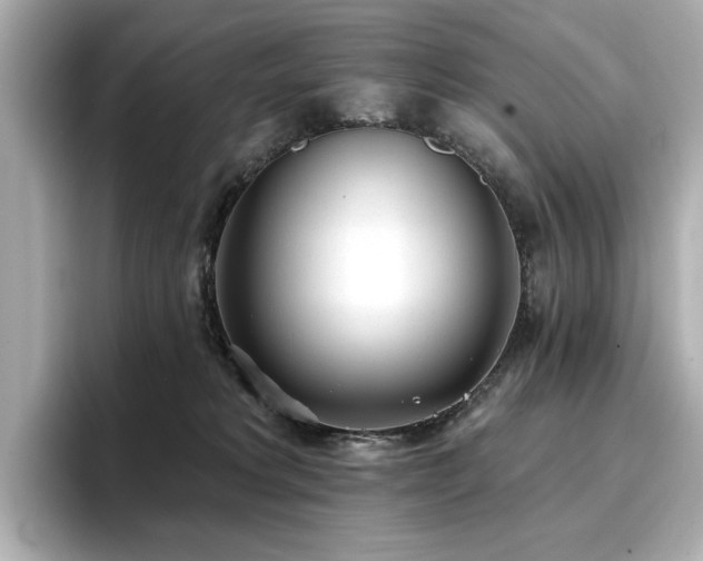 X0000096720229200802051449