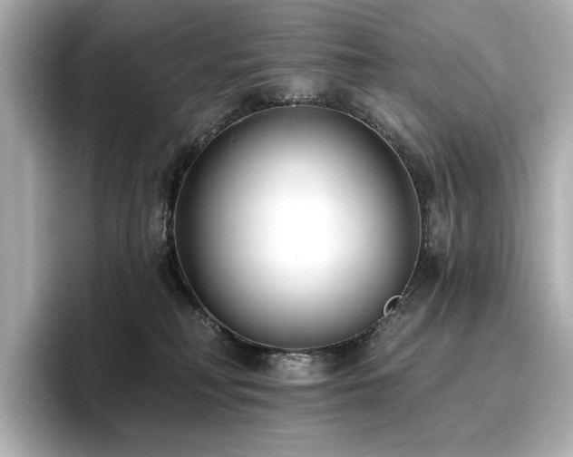 X0000096720230200802051449