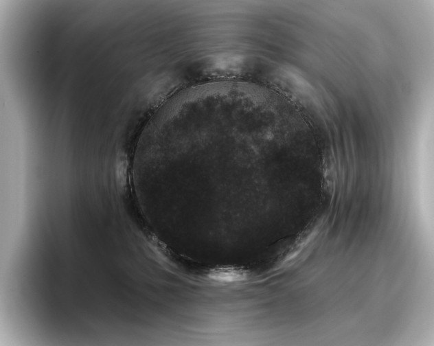 X0000096720231200802051449