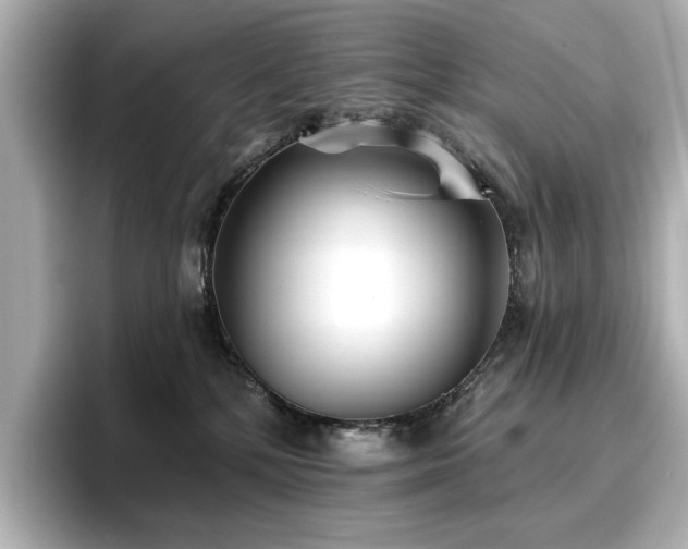 X0000096720232200802051449