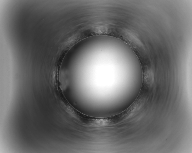 X0000096720233200802051449